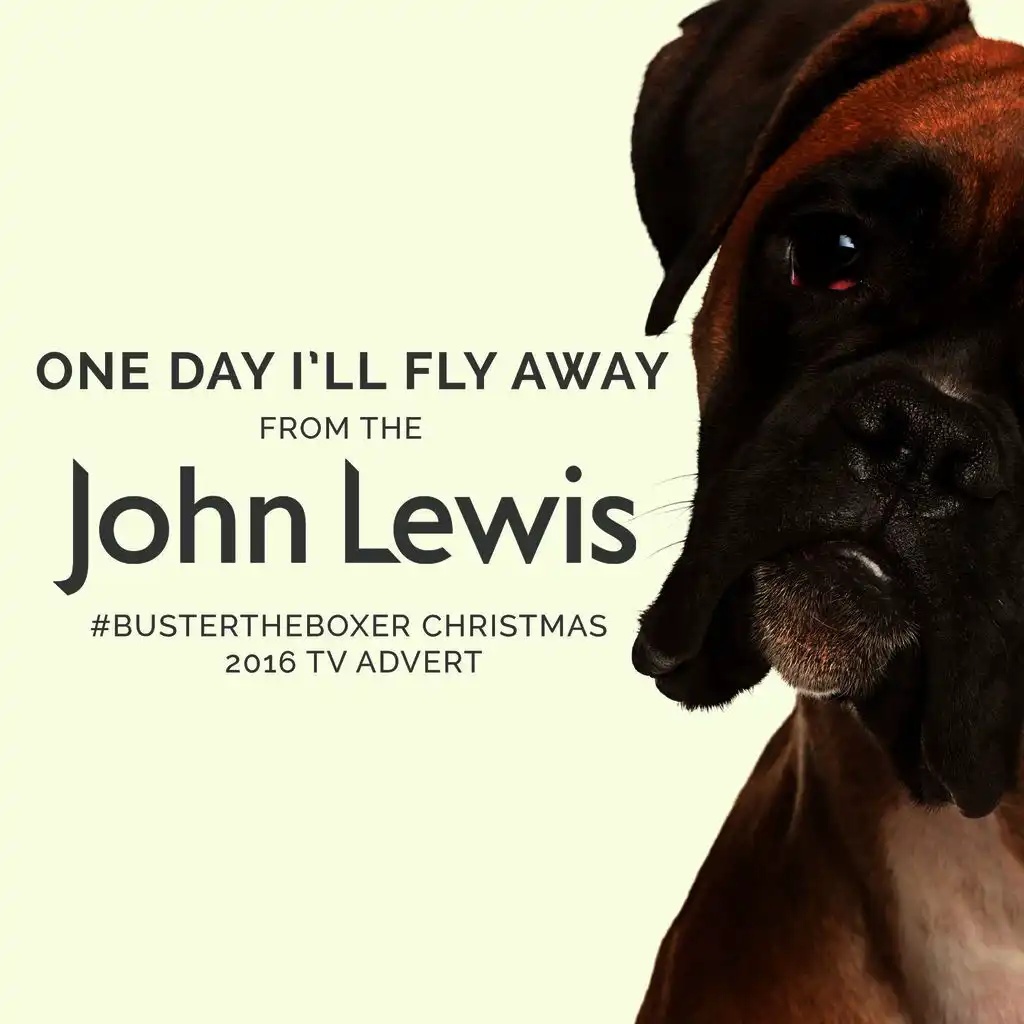 One Day I'll Fly Away (From the John Lewis "Buster the Boxer" Christmas 2016 T.V. Advert) (Cover Version)