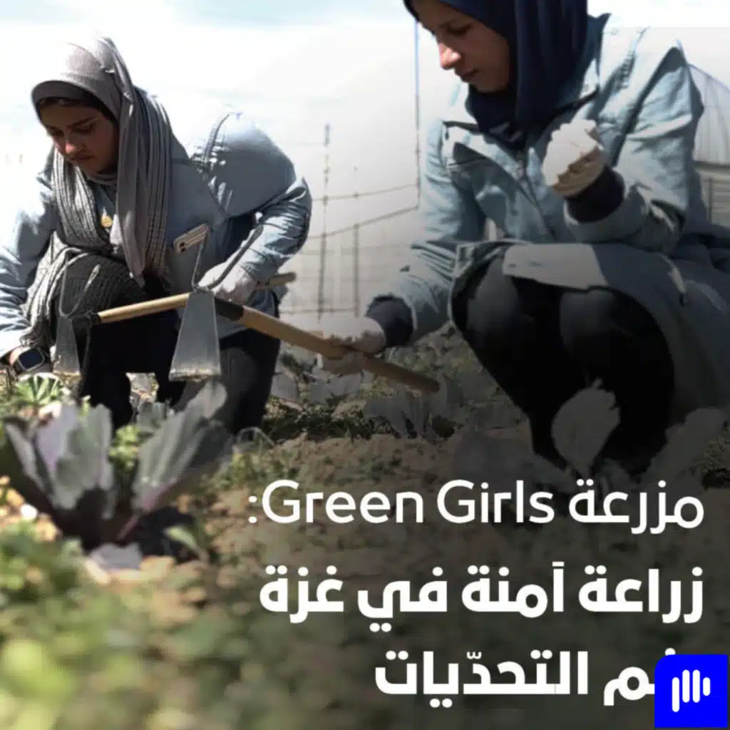 مزرعة Green Girls: زراعة آمنة في غزة رغم التحدّيات