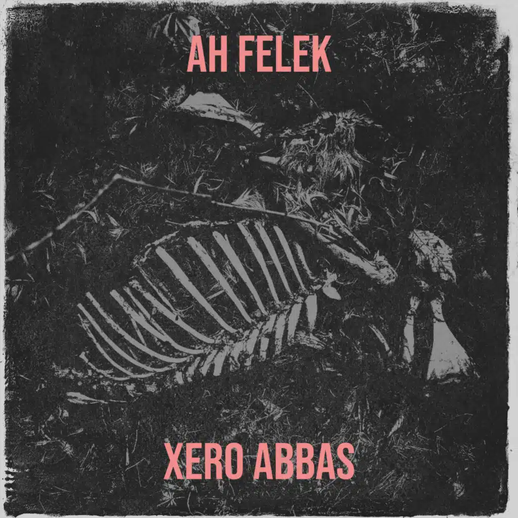 Xero Abbas