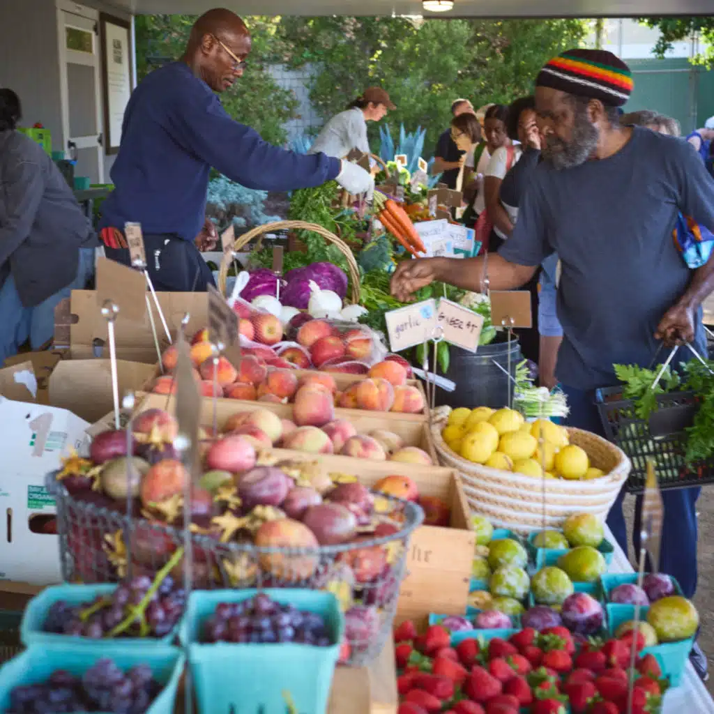 Seeds of hope for our broken food system