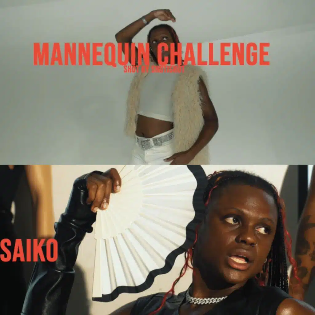 Mannequin Challenge