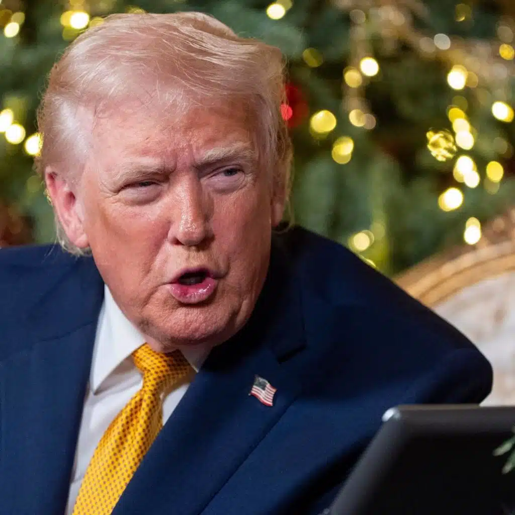 Ett år med Trump