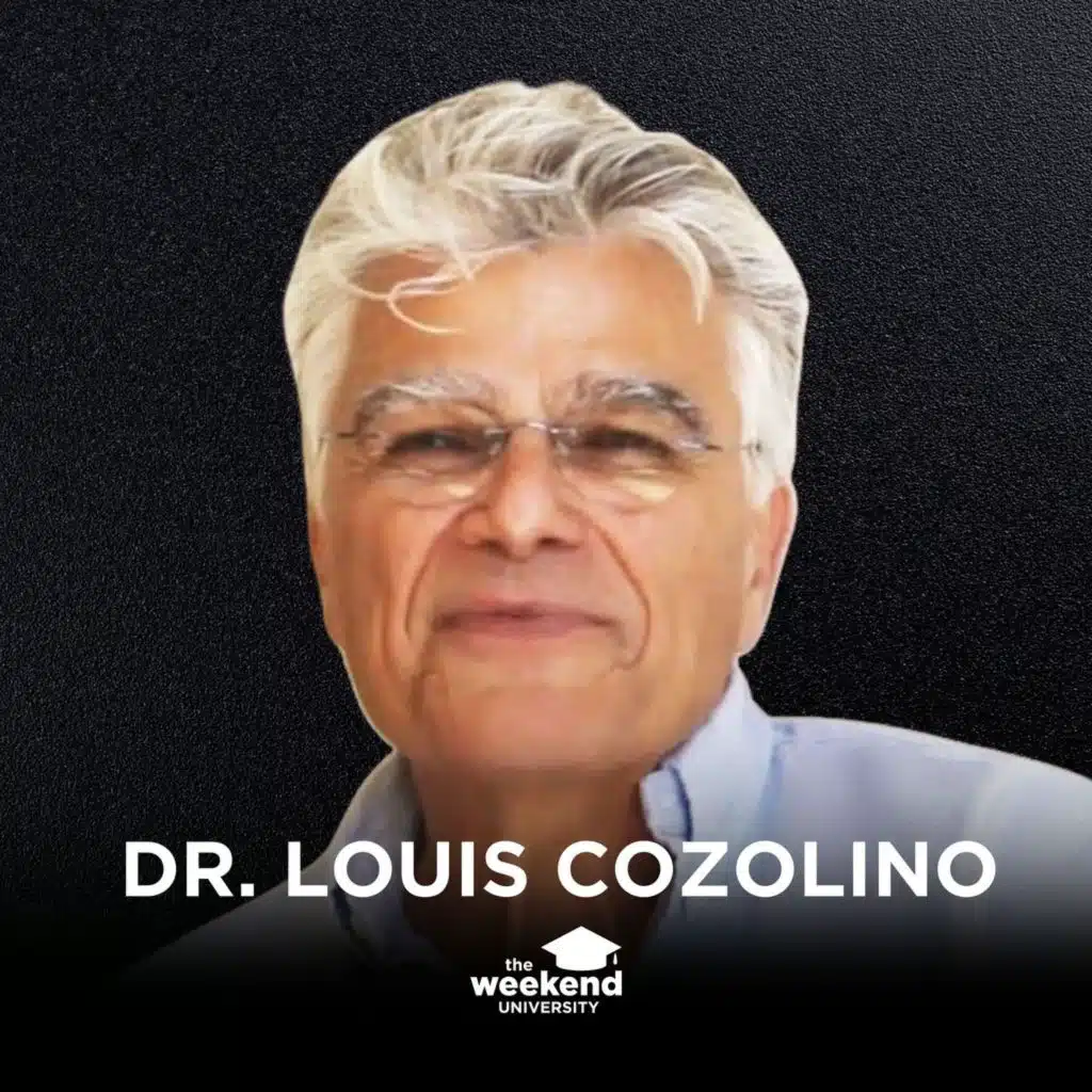 Why Psychotherapy Works - Dr. Louis Cozolino, PhD