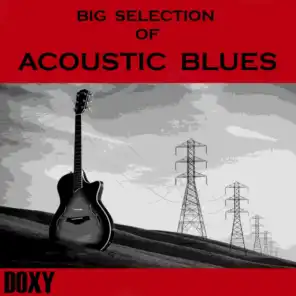 Big Selection of Acoustic Blues (Doxy Collection)