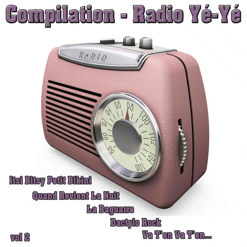 Les Chaussettes Noires avec Eddy Mitchell