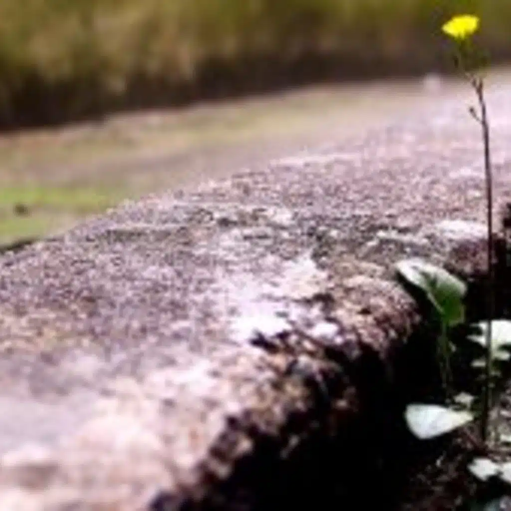 Friday, January 2, 2025 – Gearing yourself up for 2026