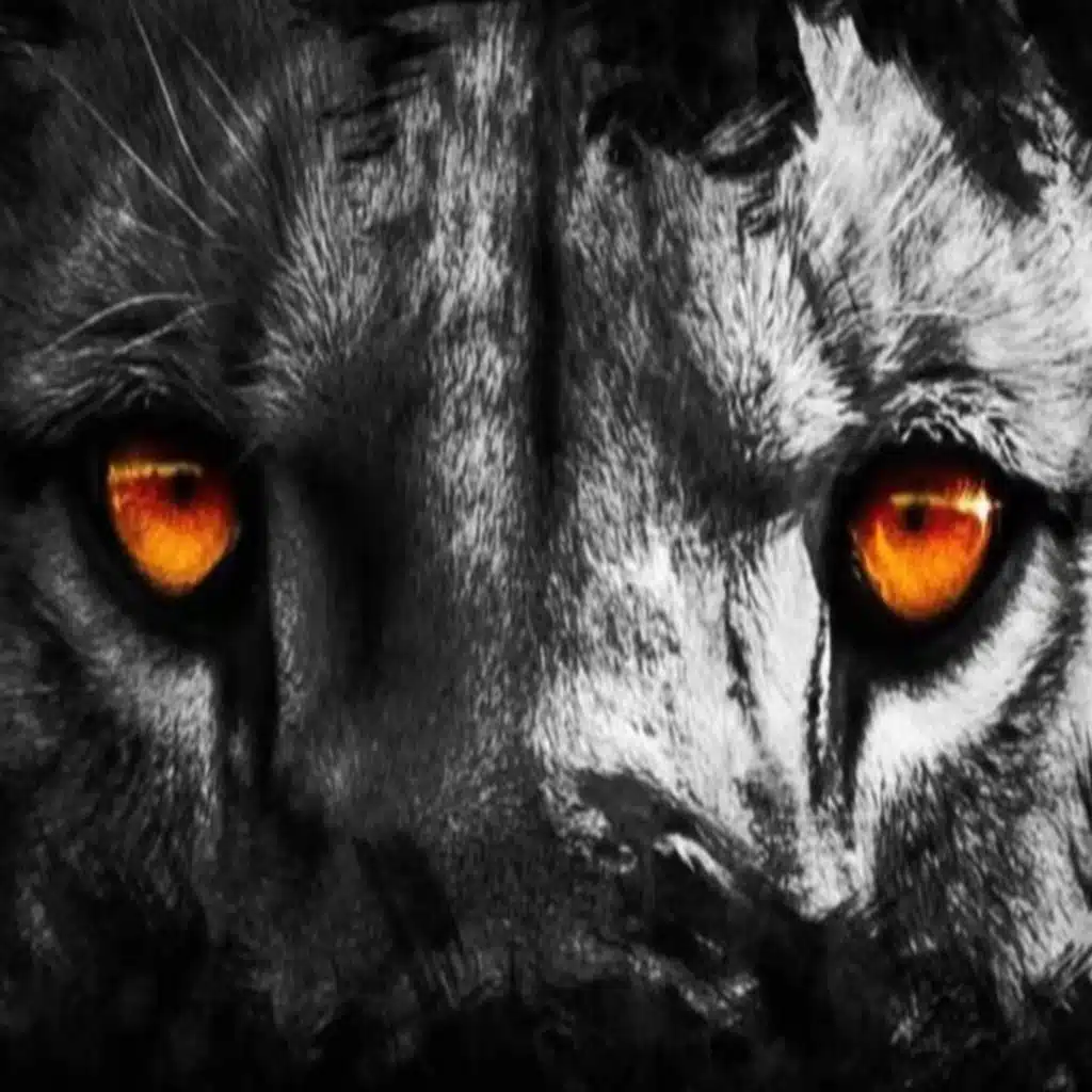 Scarface - سكار فيس