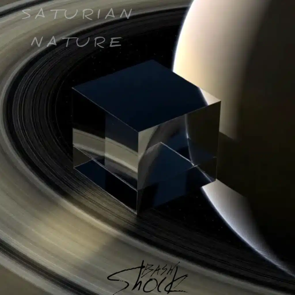 Bash Shock