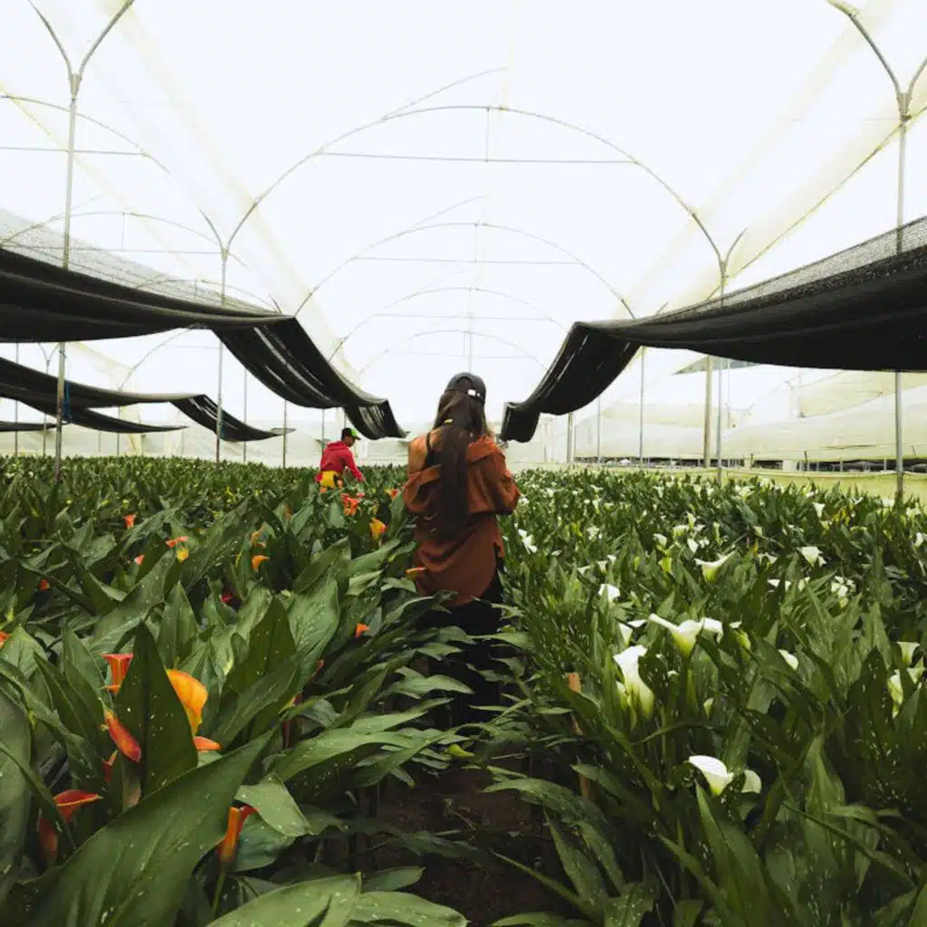 When Love Was Here to Stay