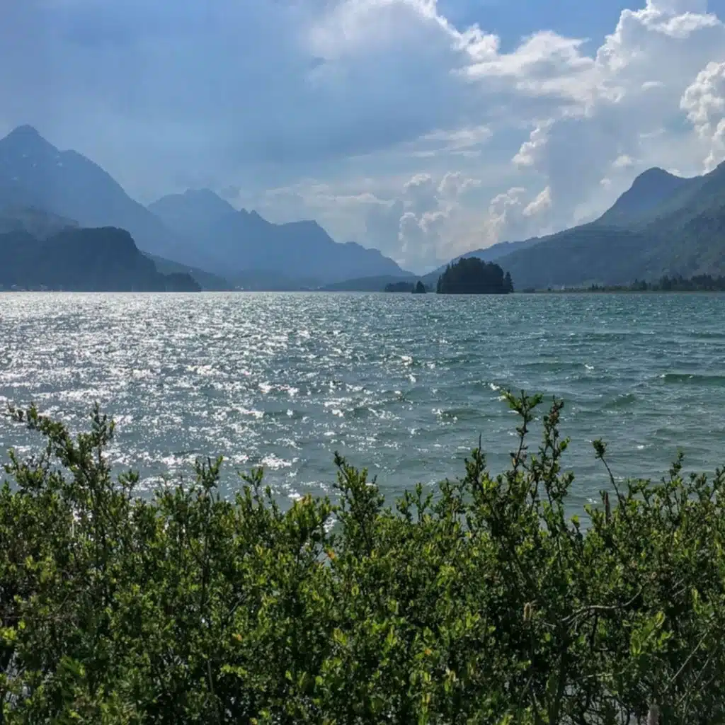 Oliver Shanti & Friends