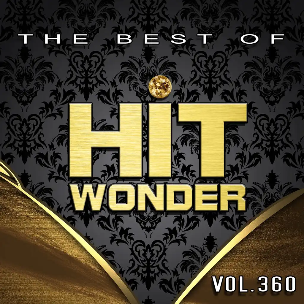 Hit Wonder: The Best Of, Vol. 360