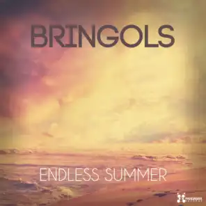Endless Summer (The Generik Vocal Cut Mix)