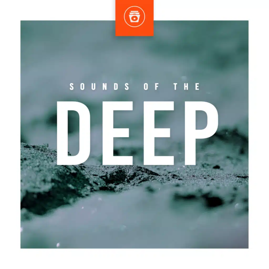 Sounds Of The Deep
