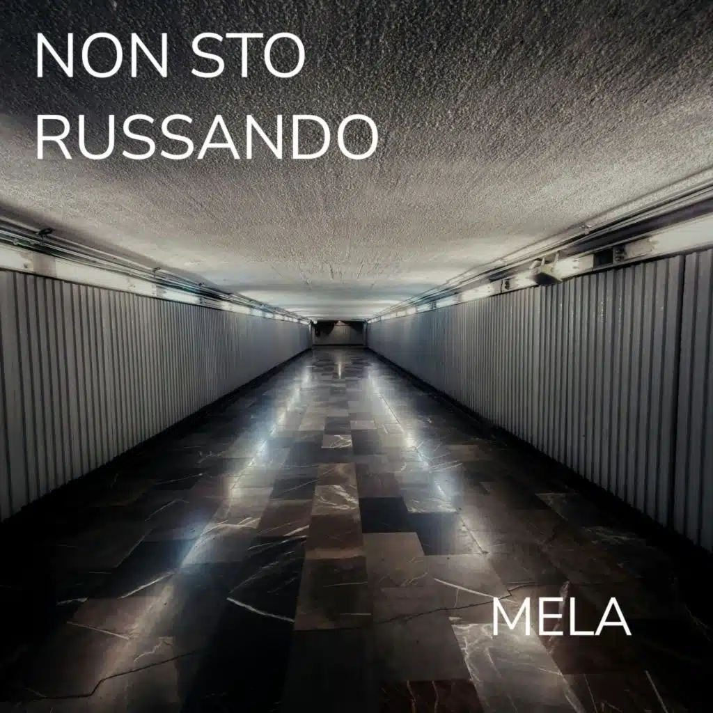 Non sto russando (1.0) [feat. Viper]