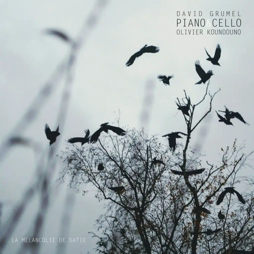 La mélancolie de Satie (PIANO&CELLO)