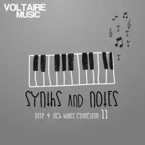 Synths and Notes, Vol. 11 (Deep & Tech House Collection)