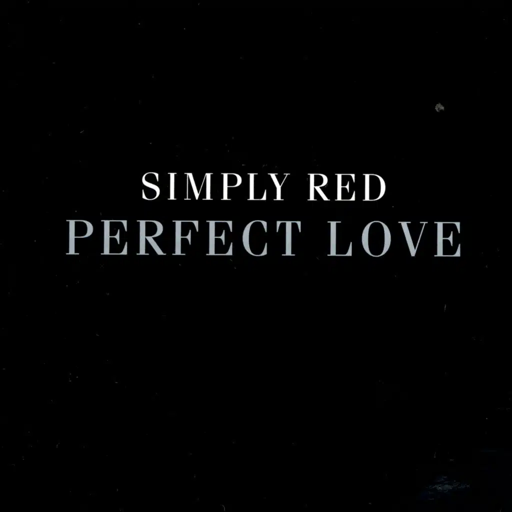 Perfect Love (Radio Version)