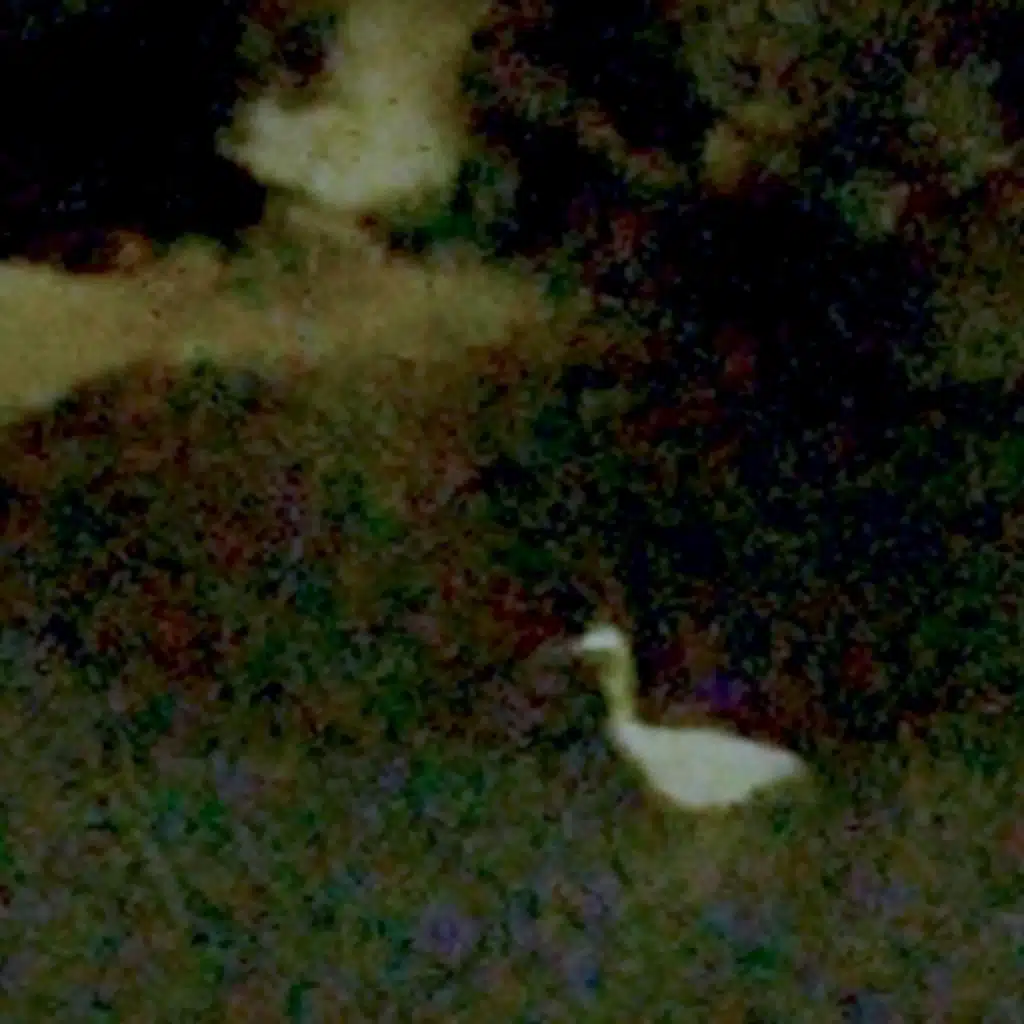 11_24_25-tankers_onthe_narrows