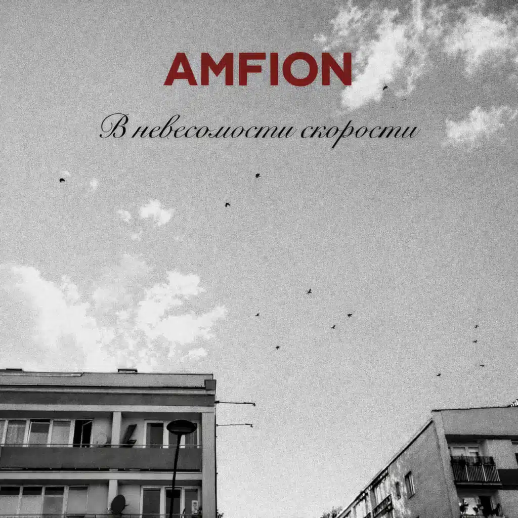 Amfion