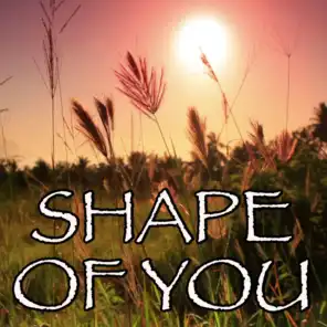 Shape of You - Tribute to Ed Sheeran