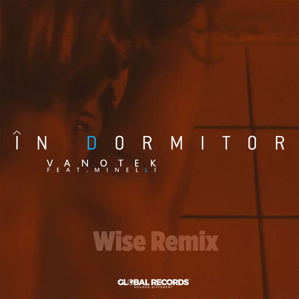 In Dormitor (Wise Remix) [feat. Minelli]