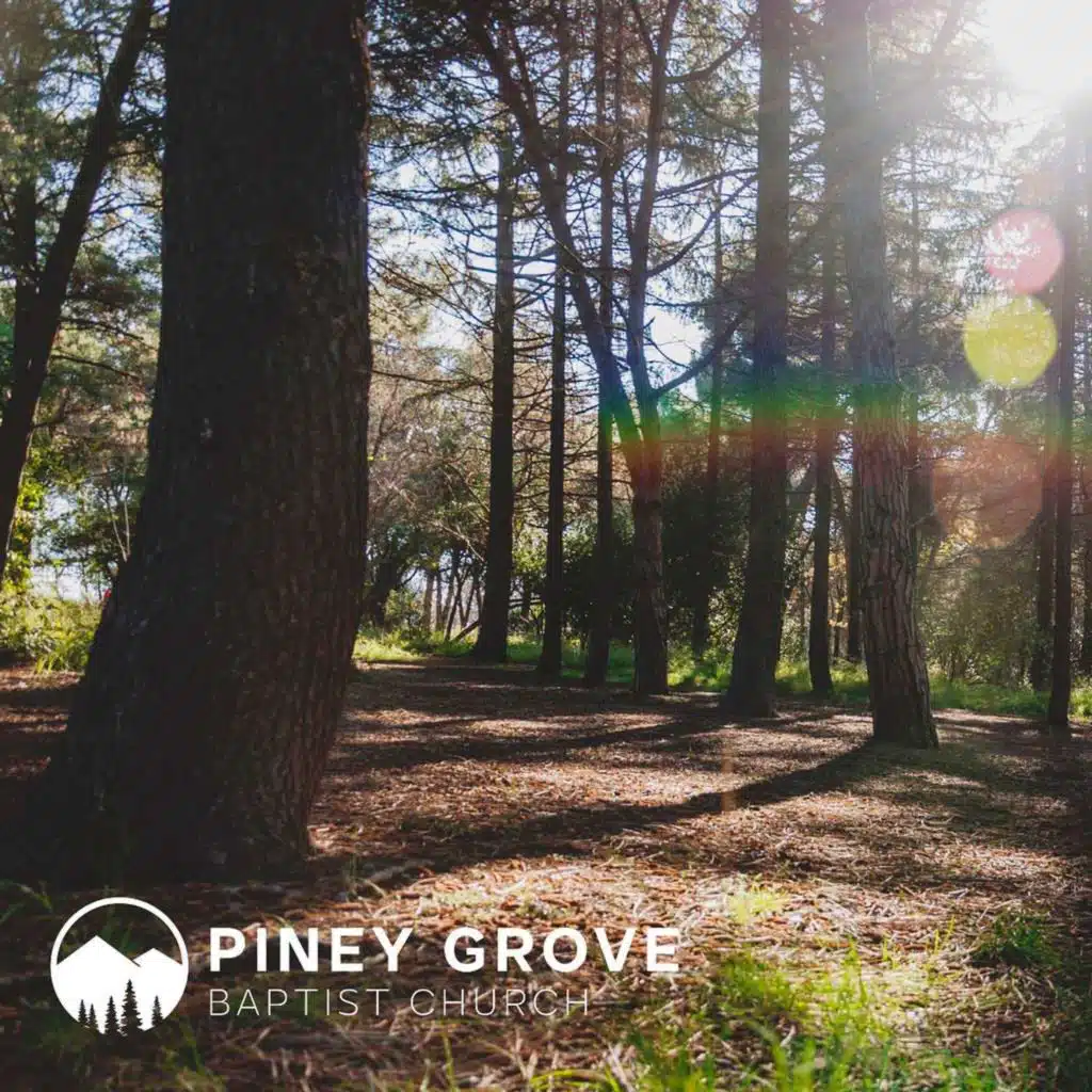 204: Renewed by Faithfulness