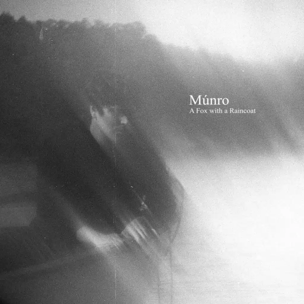 A Fox with a Raincoat