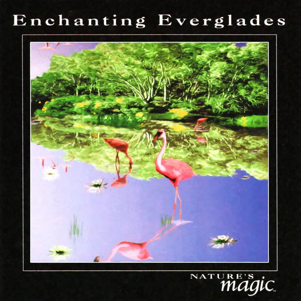 Enchanting Everglades