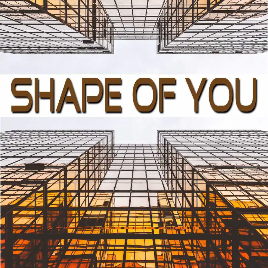 Shape of You (Instrumental, Playback, Karaoke)
