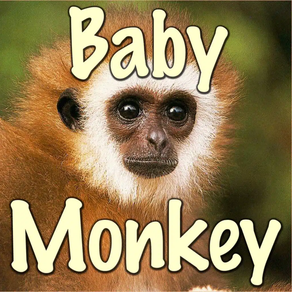 Baby Monkey (Going Backwards On A Pig) (Instrumental)