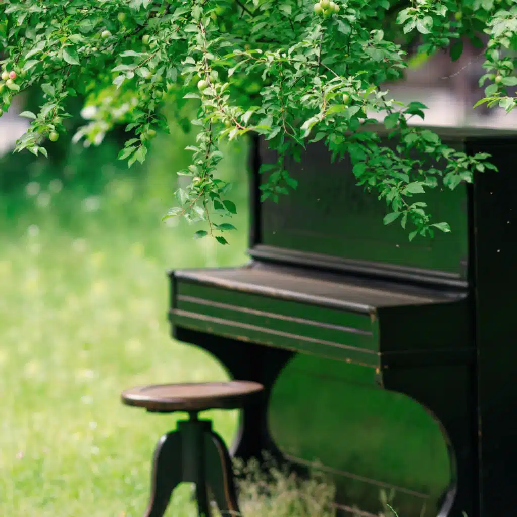 Deep Breath in the Forest Afternoon Nap Piano