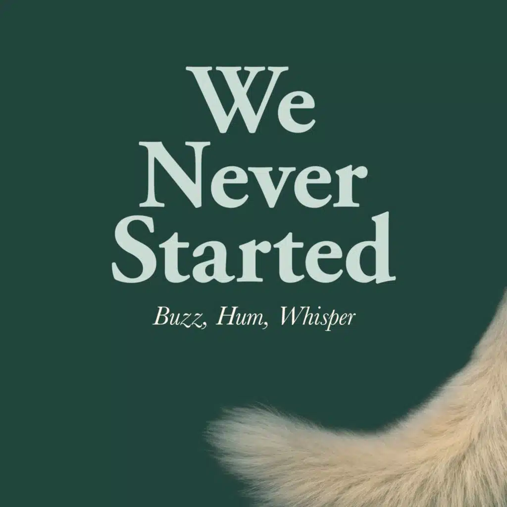 Buzz, Hum, Whisper