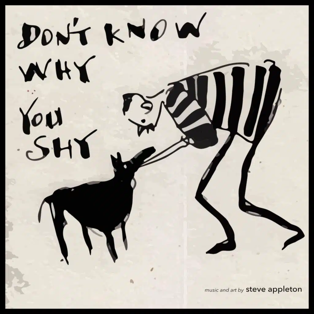 Don't Know Why You Shy