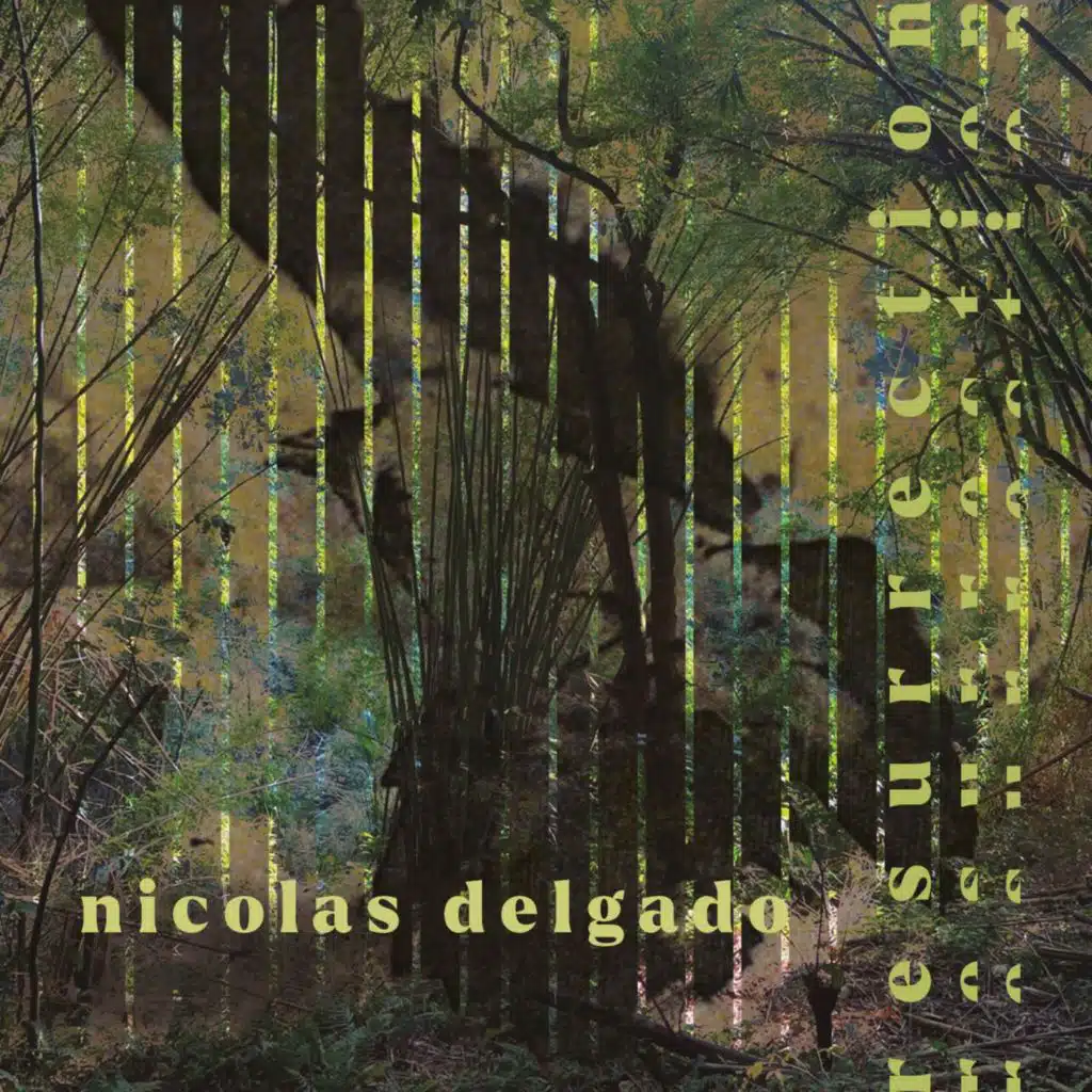 Nicolas Delgado