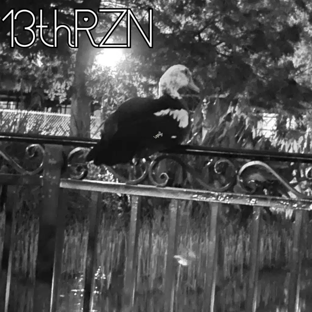 13thRƵN