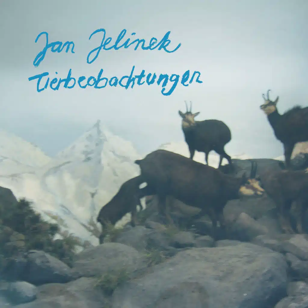 Jan Jelinek