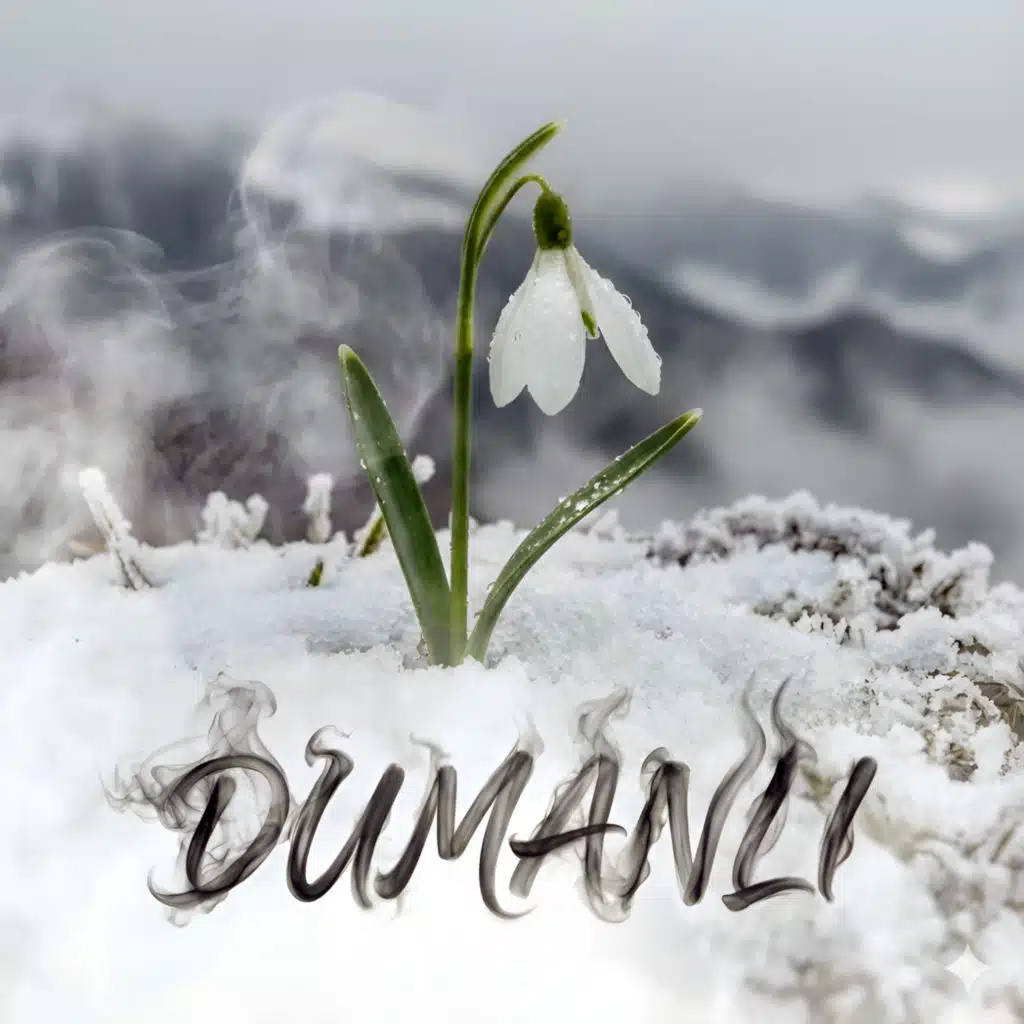 Güncel Paylaşımlar TV