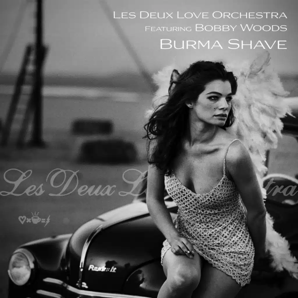 Les Deux Love Orchestra