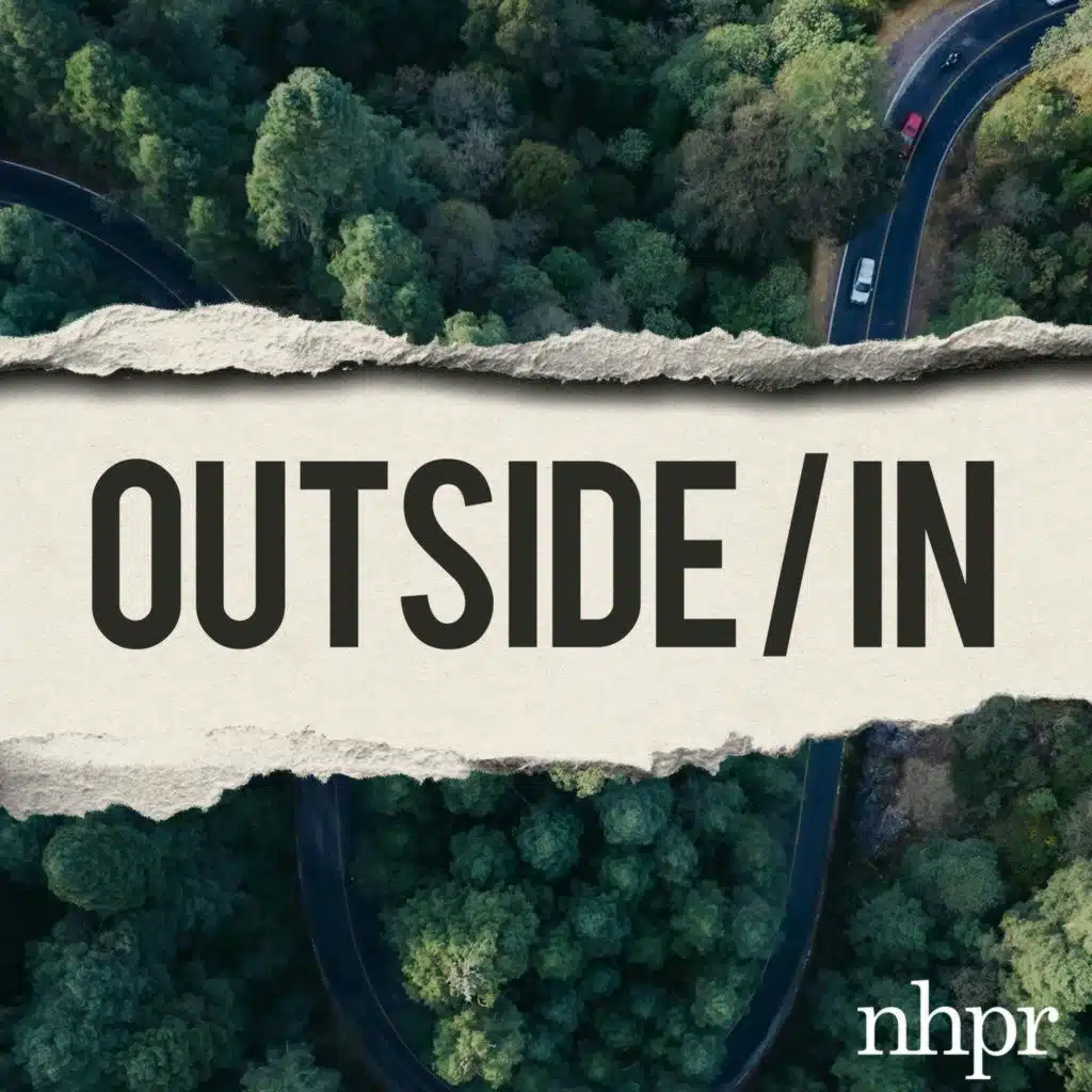 Why is there so much roadkill?