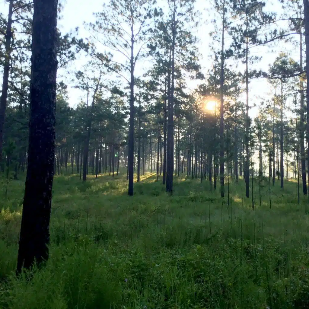 On Fires and Feelings