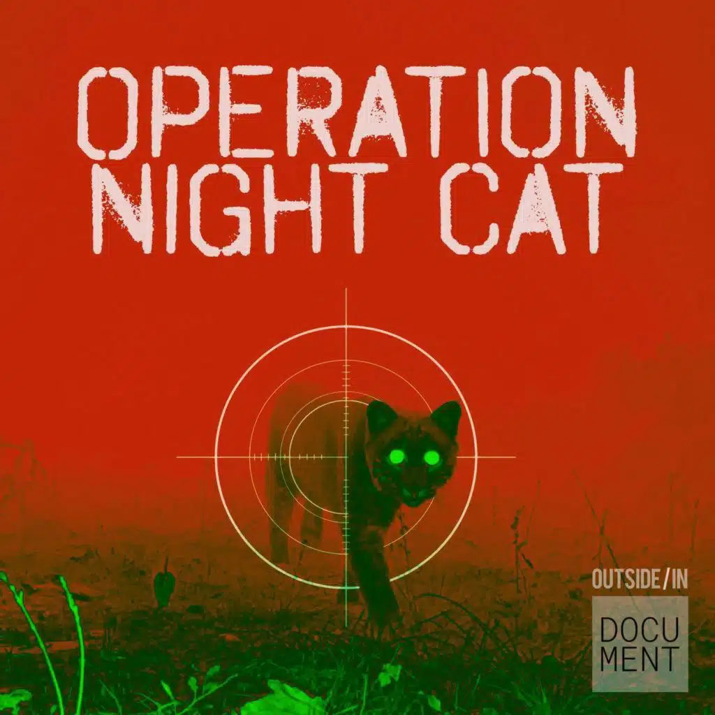 Operation Night Cat, Episode 2: Behind the Brick Wall
