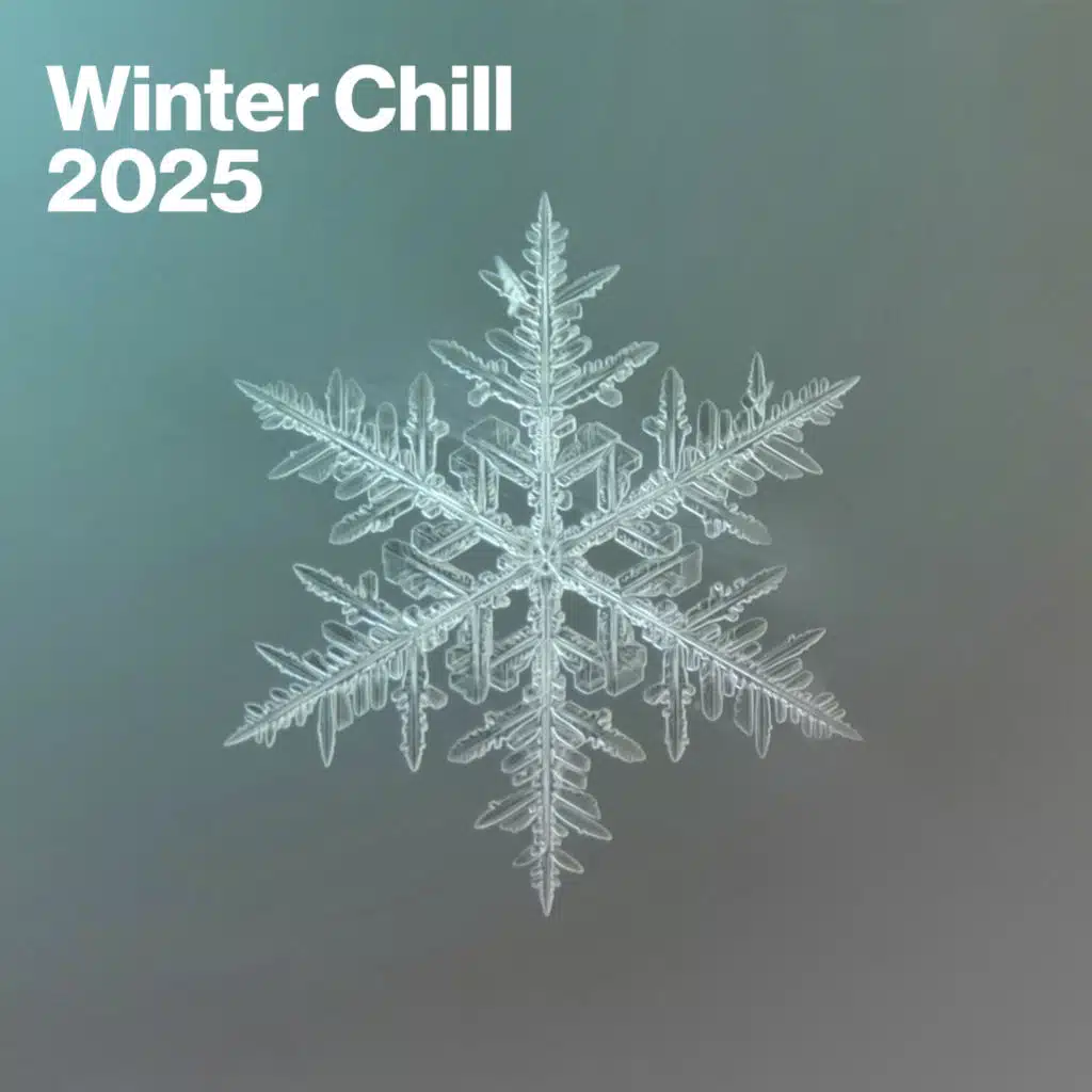 Once In A Lifetime Groove