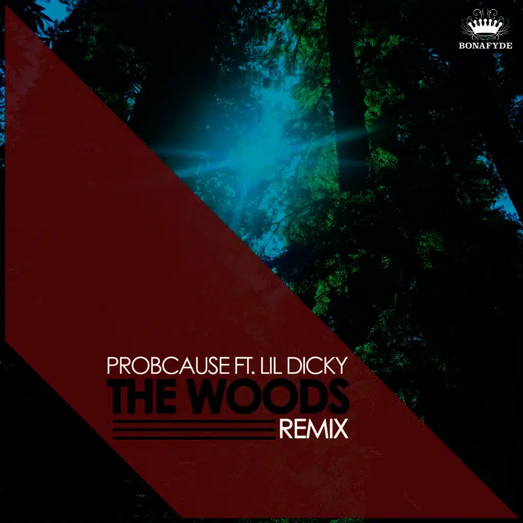 The Woods (Remix) [feat. Lil Dicky]