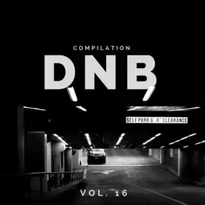 DnB Music Compilation, Vol. 16