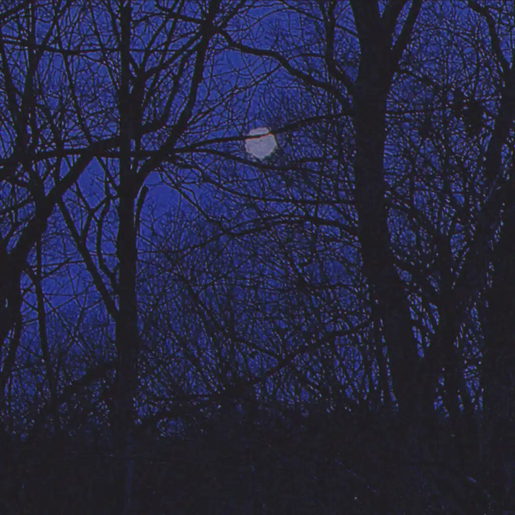 Moonlight (feat. Sullivan Fortner, Dezron Douglas & Joe Dyson)