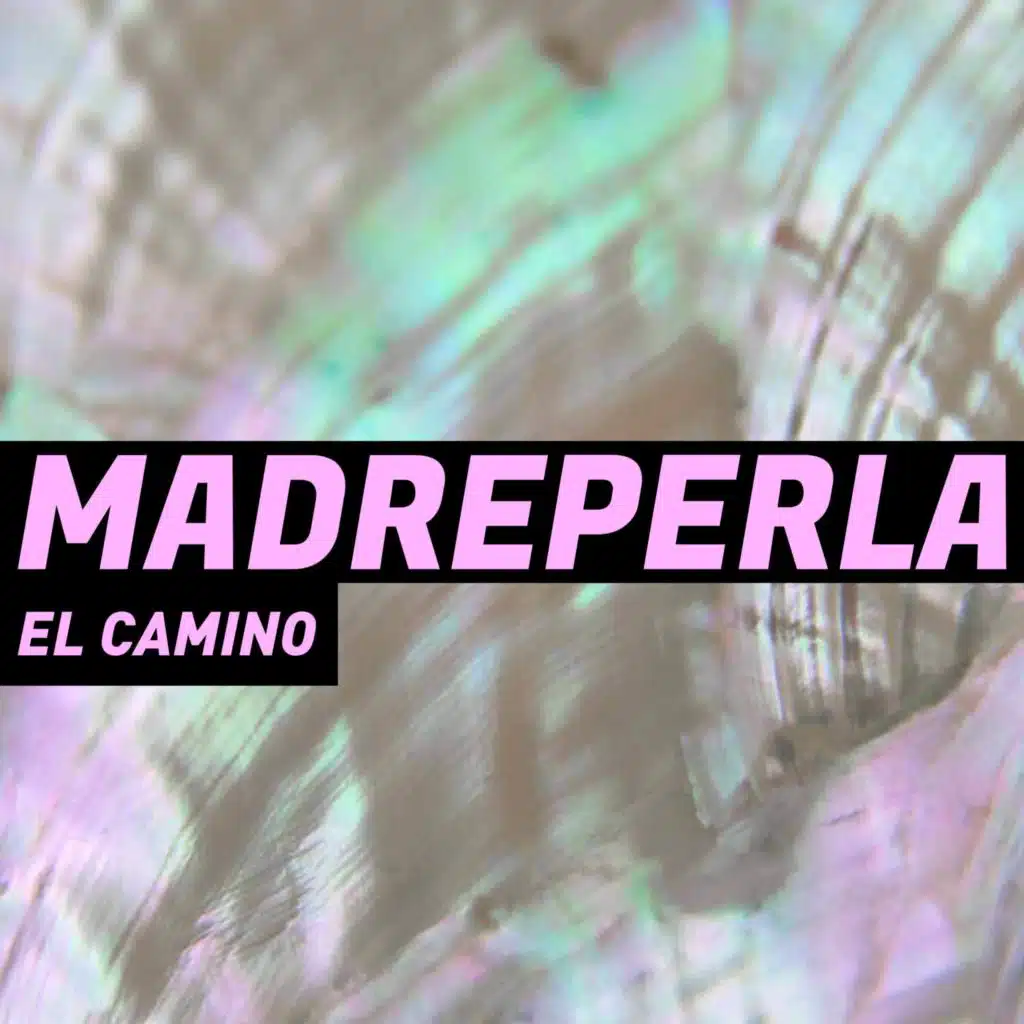 El Camino (feat. Cecilia Toussaint, José Manuel Aguilera, Alfonso André & Federico Fong)