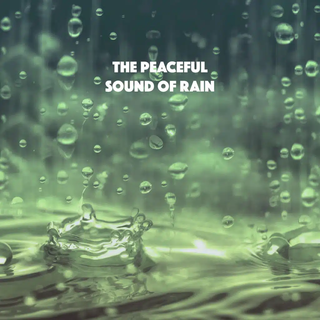 Soothing Rain from Nature