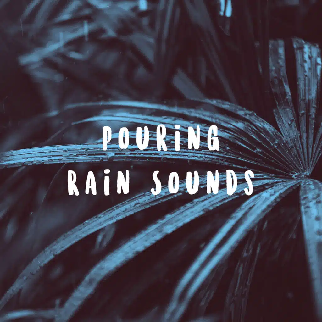 Pouring Rain Sounds