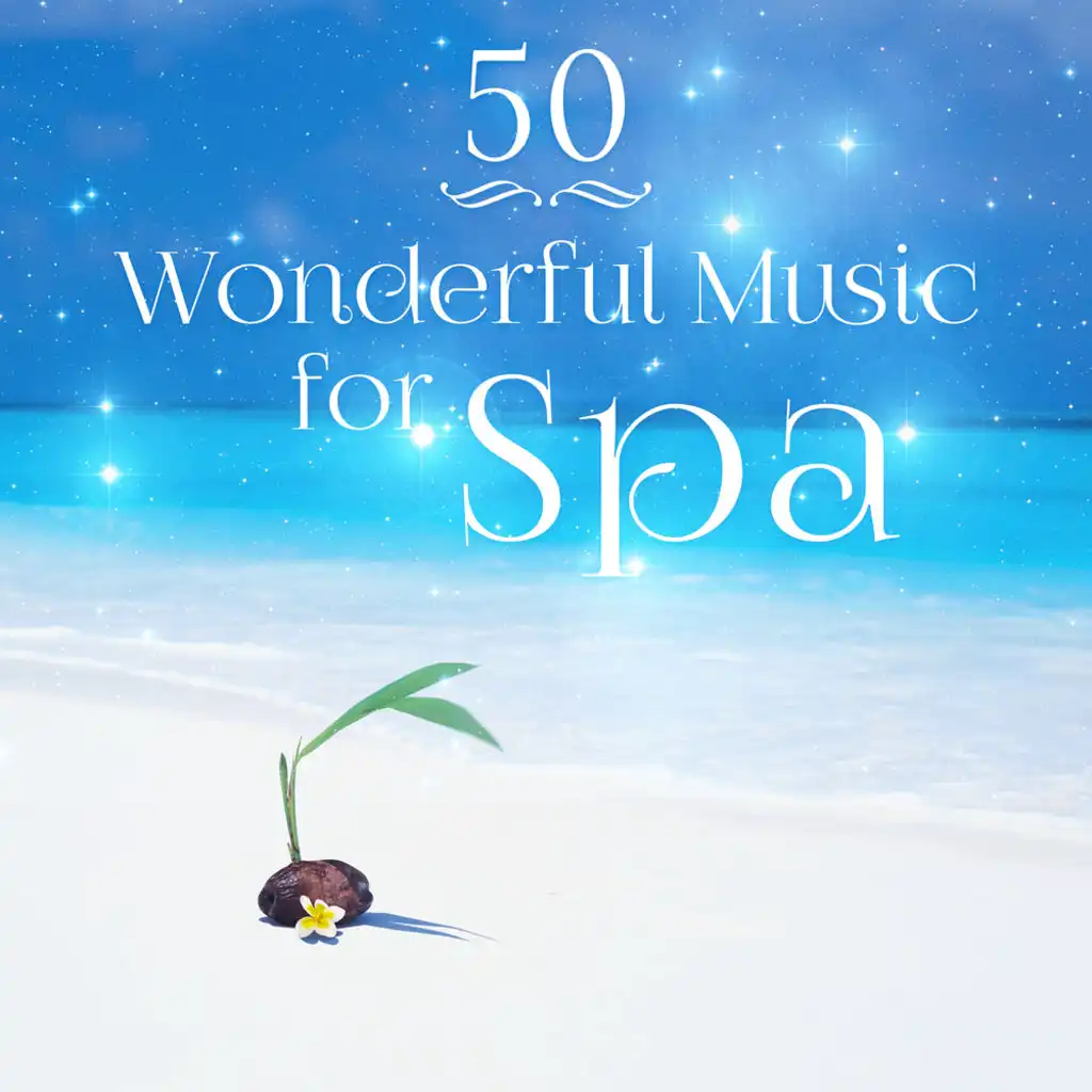 50 Wonderful Music for Spa: Calm Nature - Beautiful Instrumental Songs for Relax & Healing Ocean Waves for Massage