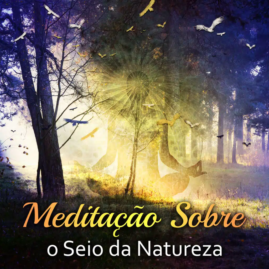Meditação Sobre o Seio da Natureza
